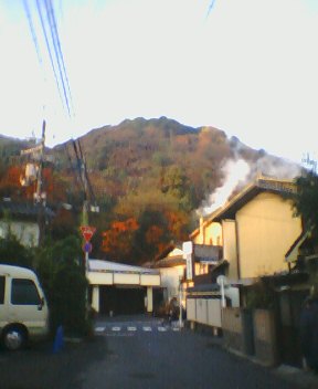 NEC_0064.JPG
