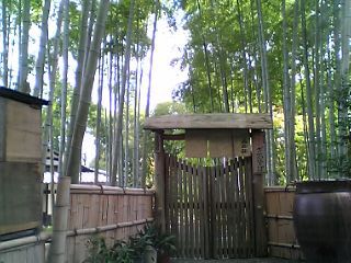 DVC10017.JPG