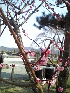 DVC00023.JPG