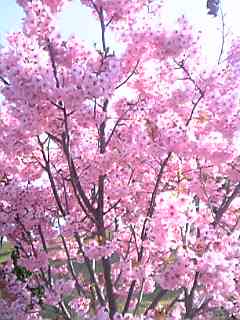 08-04-06_15-34.jpg