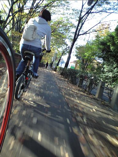 1123PAP_0386.JPG