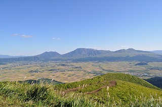 DSC_0323.jpg