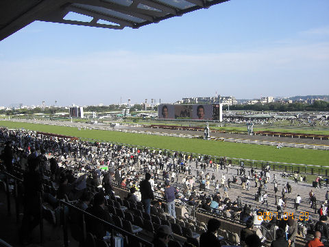 競馬場帰り.jpg