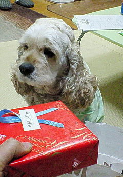 200703121938000.jpg