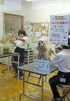 200702151733001.jpg