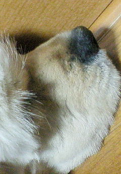200705022151000.jpg