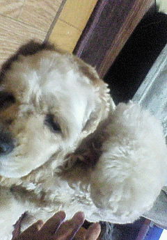 200705022150000.jpg