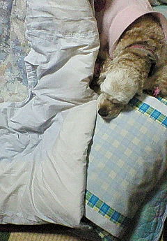 200703222313000.jpg