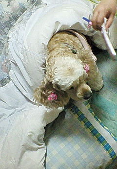 200703222309000.jpg