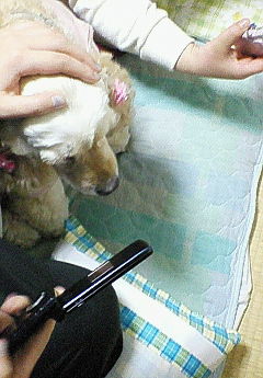 200703222311000.jpg