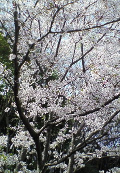 200704051423000.jpg