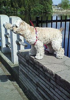 200704051402000.jpg