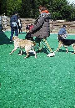 200702121238000.jpg