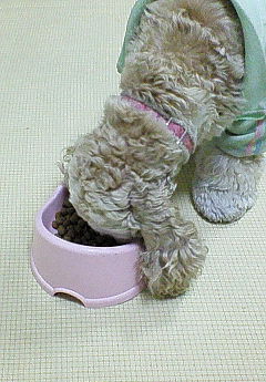 200703121942001.jpg
