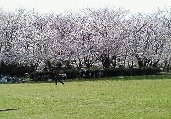 200704051432000.jpg