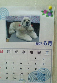 200705211607000.jpg