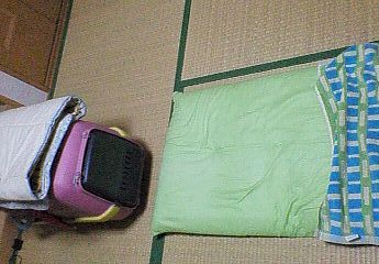 のんちゃんのベット