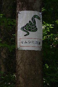 uomidai2.jpg