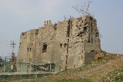 manda004.jpg