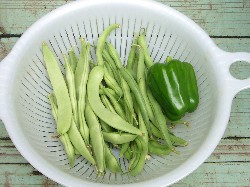 20090704今日の収穫