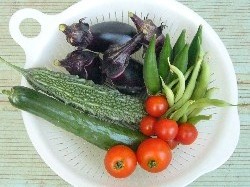 収穫野菜　20070805