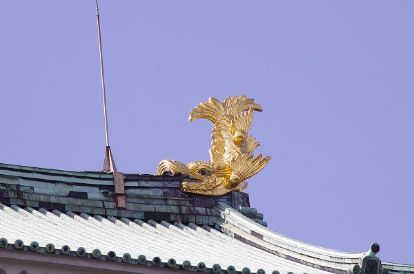 IMGP0797.jpg