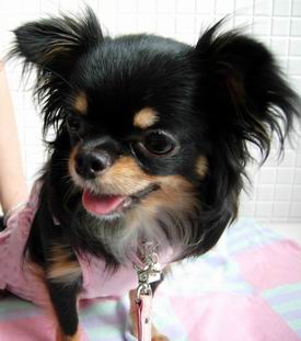 サイズ変更画像 211.jpg