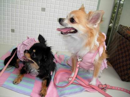 サイズ変更画像 245.jpg