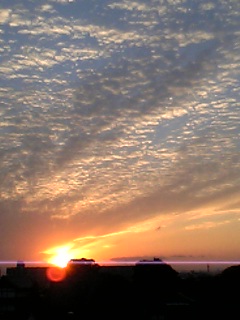 夕日