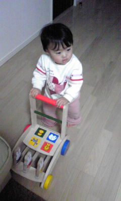 2008-02-19 21:04:13