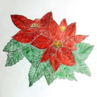 012ポインセチア.JPG