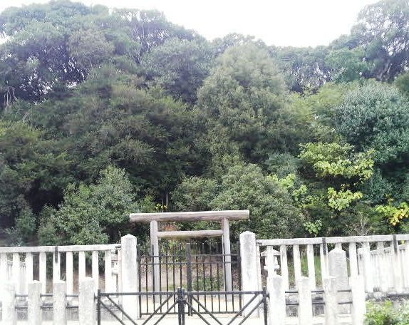 020雄略天皇陵 (3).JPG