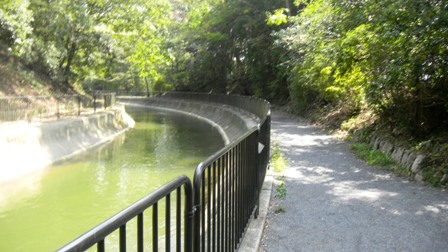 062琵琶湖疎水の道.JPG