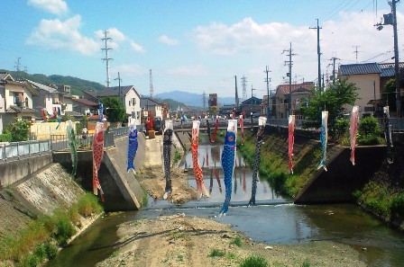 恩智川の鯉のぼり.jpg