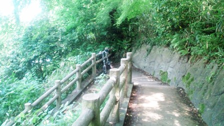 古城公園 (2).jpg