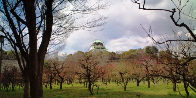 大阪城公園梅林.JPG