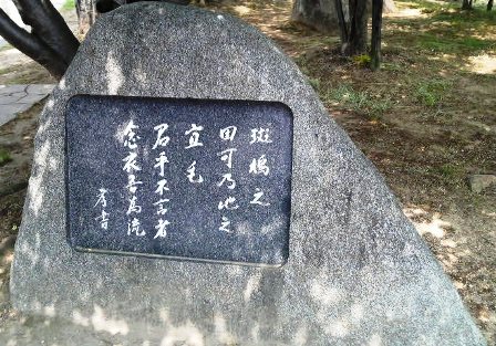 犬養万葉歌碑(巻１２－３０２０）.JPG