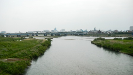 010井田川・神明橋から.JPG