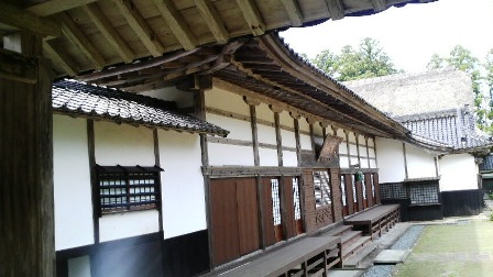 040 国分寺 (5).JPG