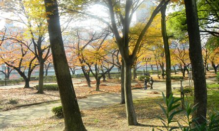 大川端・天満橋付近.JPG