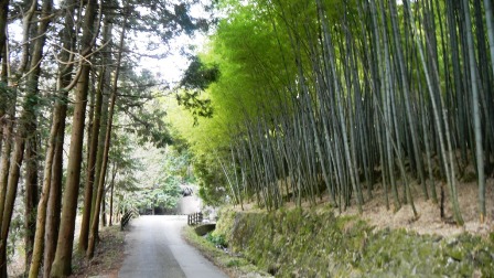 008崇福寺跡への道（百穴古墳付近）.JPG