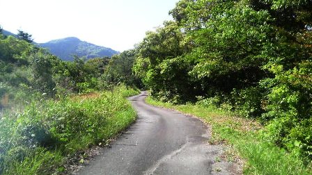 四万十川自転車道 (2).JPG