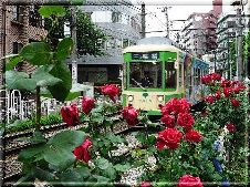 荒川路面電車.jpg