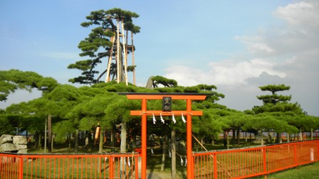 122唐崎の松 (2).JPG