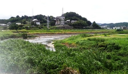 大和川に注ぐ竜田川.JPG