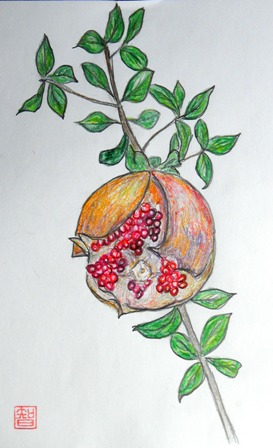柘榴.JPG