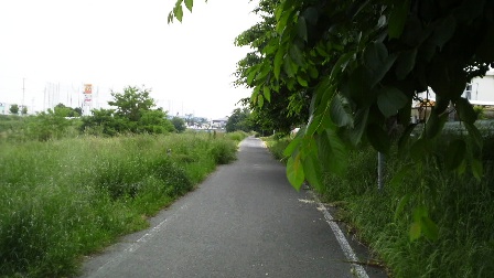 富雄川自転車道.JPG