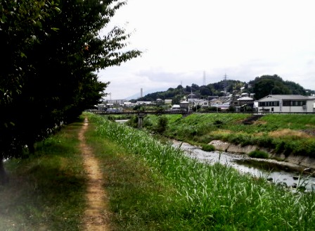 竜田川左岸 (2).JPG
