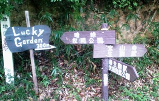 国道３０８号線と宝山寺への道との分岐.jpg