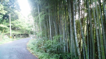 宝山寺への道.jpg